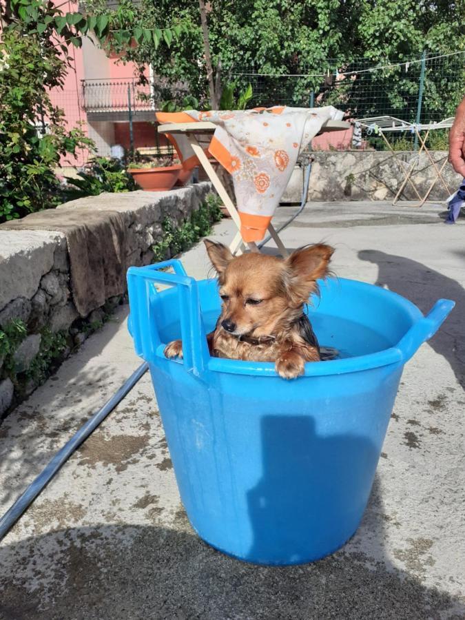 Casa Vacanza Zia Ersilia Rotondi 外观 照片