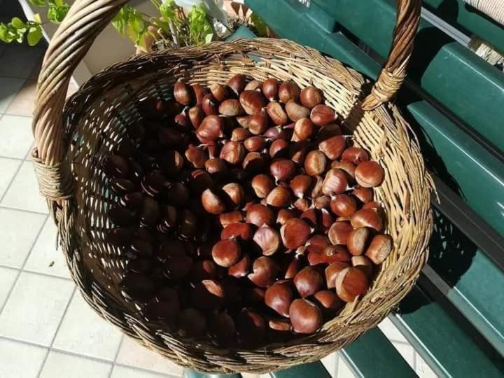 Casa Vacanza Zia Ersilia Rotondi 外观 照片