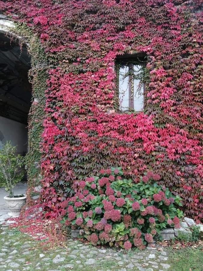 Casa Vacanza Zia Ersilia Rotondi 外观 照片